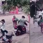 Maharashtra: Mother Chases Assailants with Stone After They Attack Her Son with Sword in Kolhapur; Chilling Video Surfaces